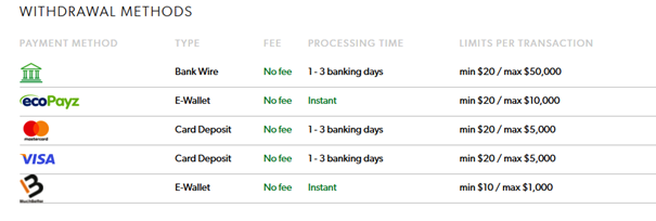 Rizk withdrawal methods